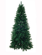 Kerstboom groen. noorse den. hgte 300cm.  homemeetsnature