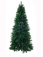 Kerstboom groen. noorse den. hgte 225cm.  homemeetsnature