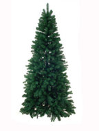 Foto van Kerstboom groen. noorse den. hgte 270cm. via homemeetsnature