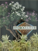 Documentatie hydro brochure (nl)  burobloemen