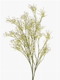 Foto van Gypsophila spray white via burobloemen