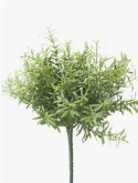 Rosemary bush  burobloemen