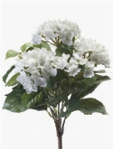 Foto van Hydrangea bush white via burobloemen