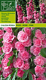 Alcea rosea roze per 2  burobloemen