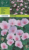 Geranium sanguineum striatum per 1  burobloemen