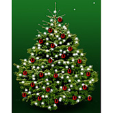 Kerstboom nordmann 175cm met kerstballen ossenbloedrood  burobloemen