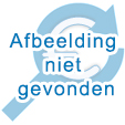 Foto van R maigold in pot (per stuk) via dewilde